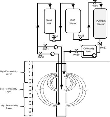 Microbial Community Changes in a Chlorinated Solvents Polluted Aquifer Over the Field Scale Treatment With Poly-3-Hydroxybutyrate as Amendment